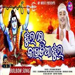 Jhul Re Kaudia Jhul Sricharan Mohanty